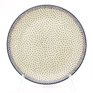 PLATE 22 61A