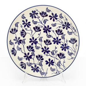 PLATE 26 AS81