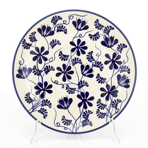 PLATE 22 AS81