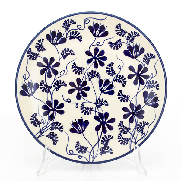 PLATE 22 AS81